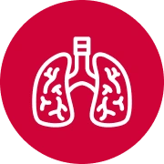 Lung cancer icon
